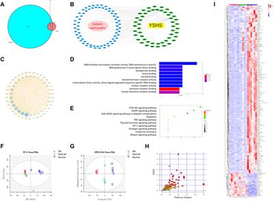 Yishen Huashi Granules Ameliorated the Development of Diabetic Nephropathy by Reducing the Damage of Glomerular Filtration Barrier